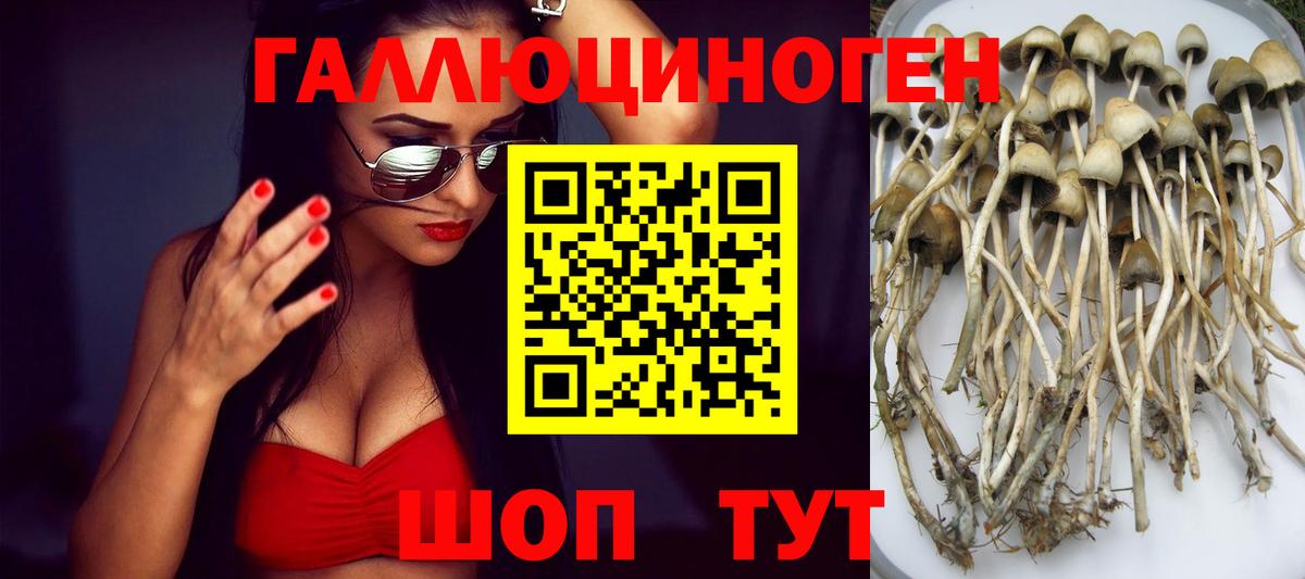Галлюциногенные грибы мухоморы Тольятти